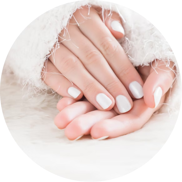 HP TileGrid Categories PersonalCare