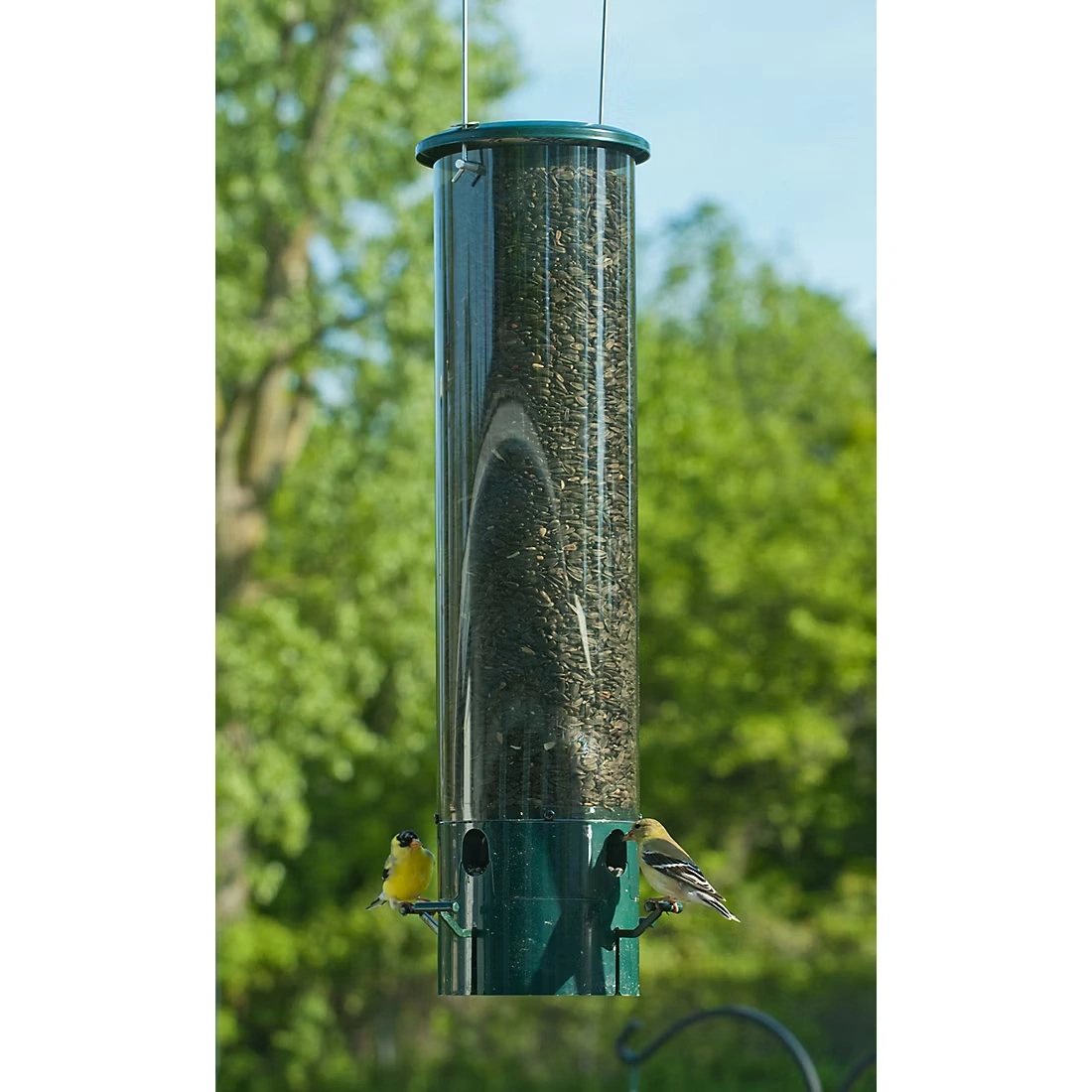 National Audubon Magnet Tube Feeder