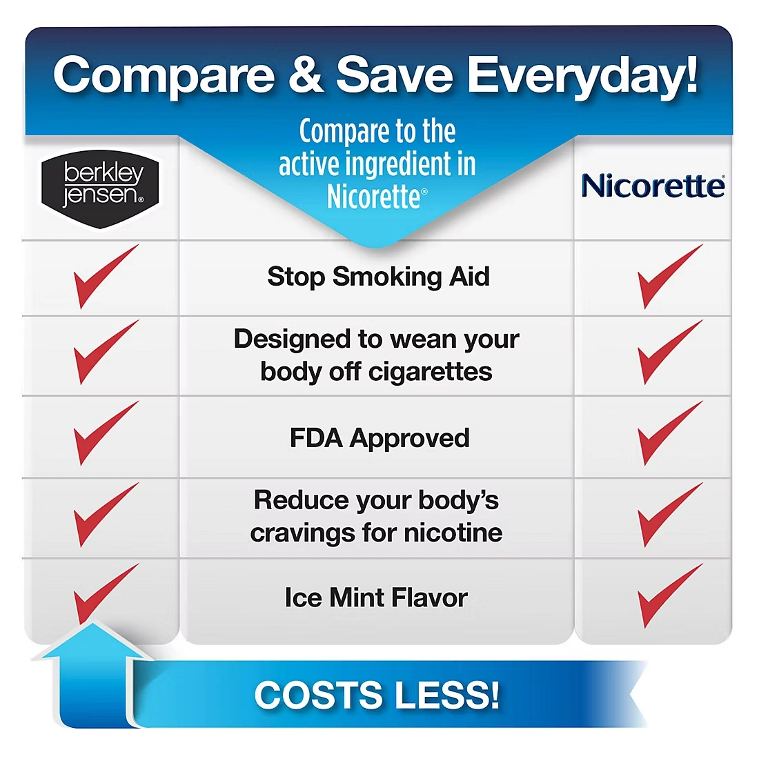 Berkley Jensen Ice Mint 2 mg Coated Nicotine Polacrilex Gum, 240 ct.
