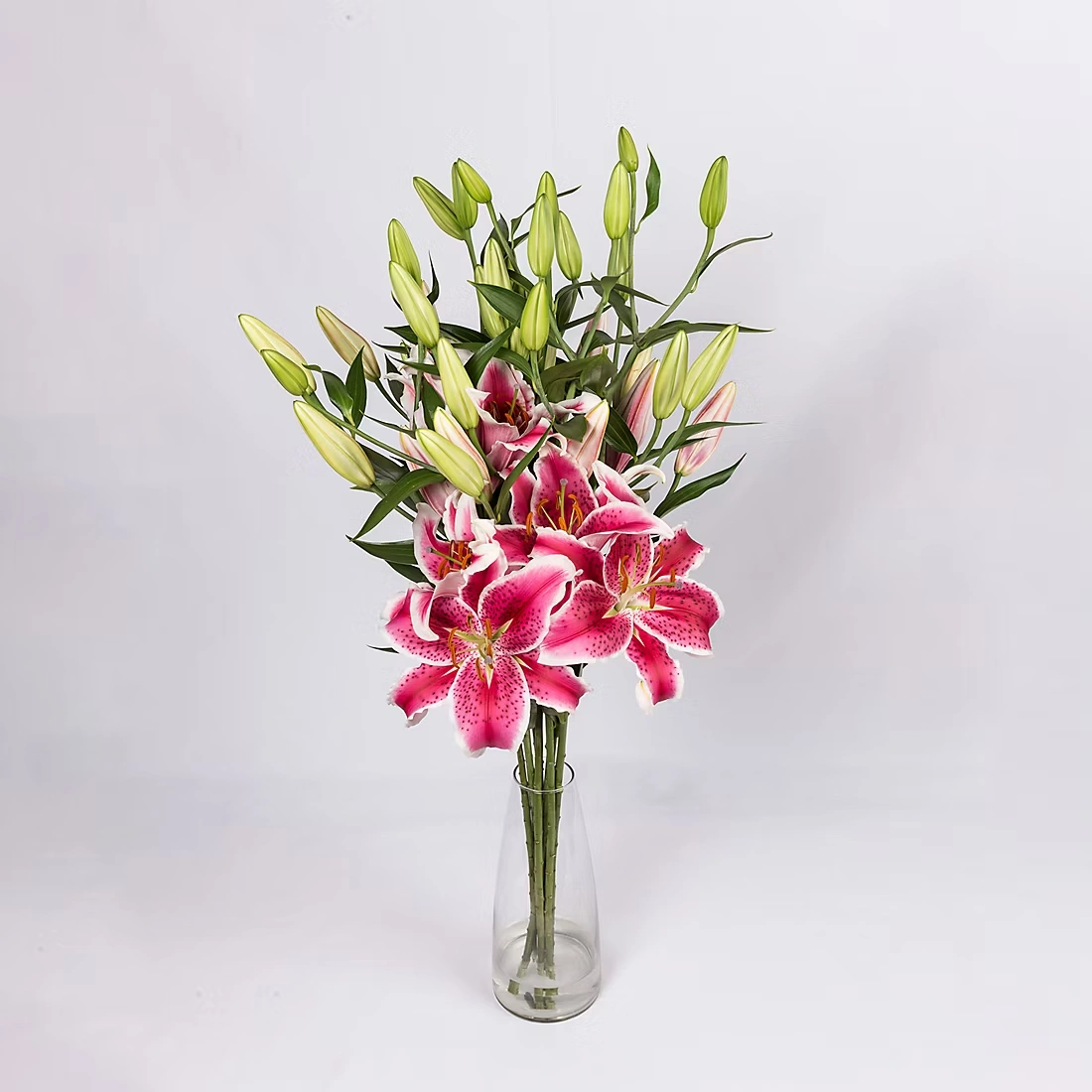 Starfighter Oriental Lilies, 60 Stems