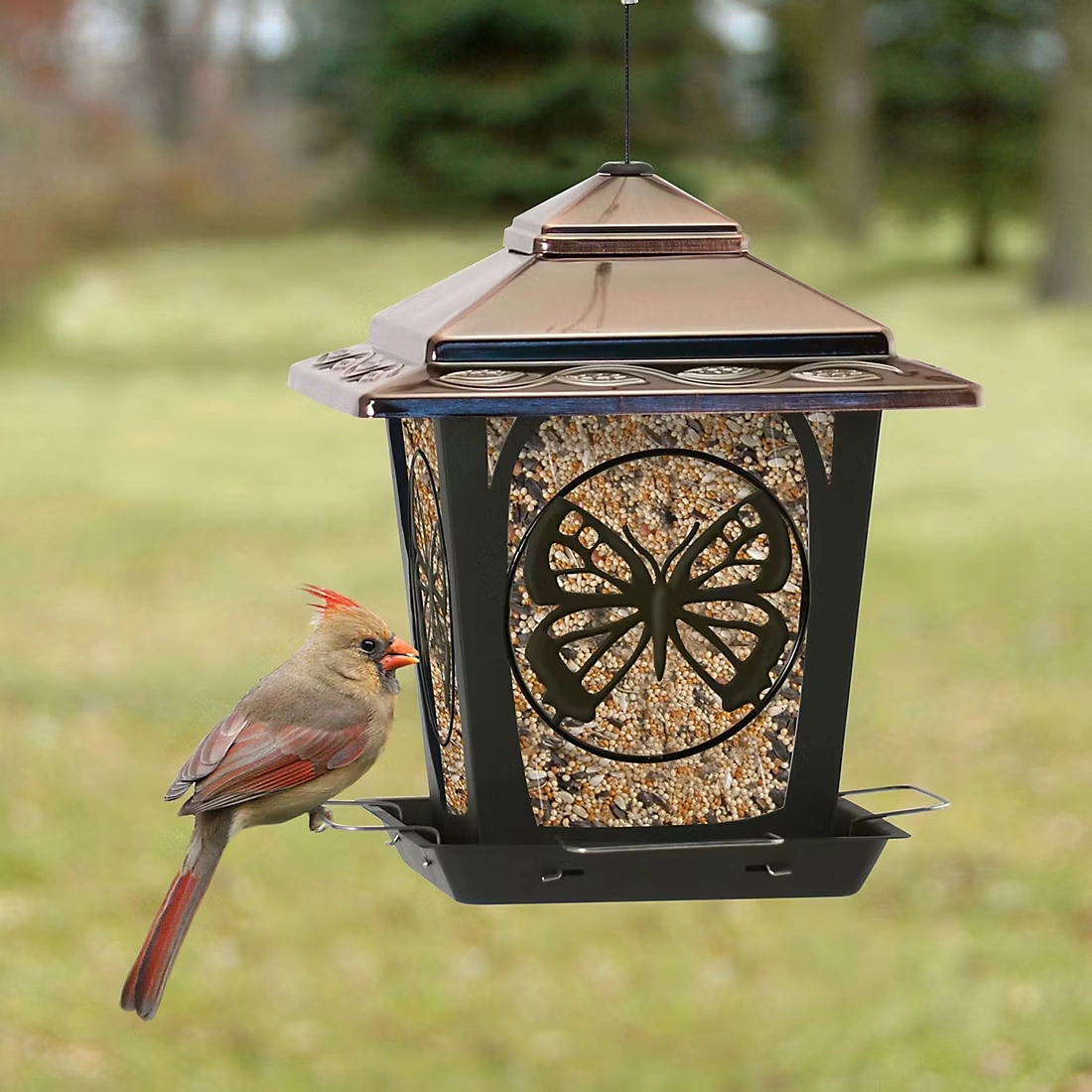 National Audubon Metal Butterfly Hopper Feeder